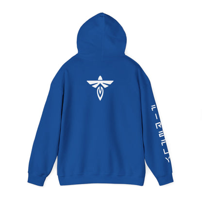A royal blue hoodie shown from the back, featuring a white winged emblem centered on the back and white vertical text printed down one sleeve, set against a plain white background.